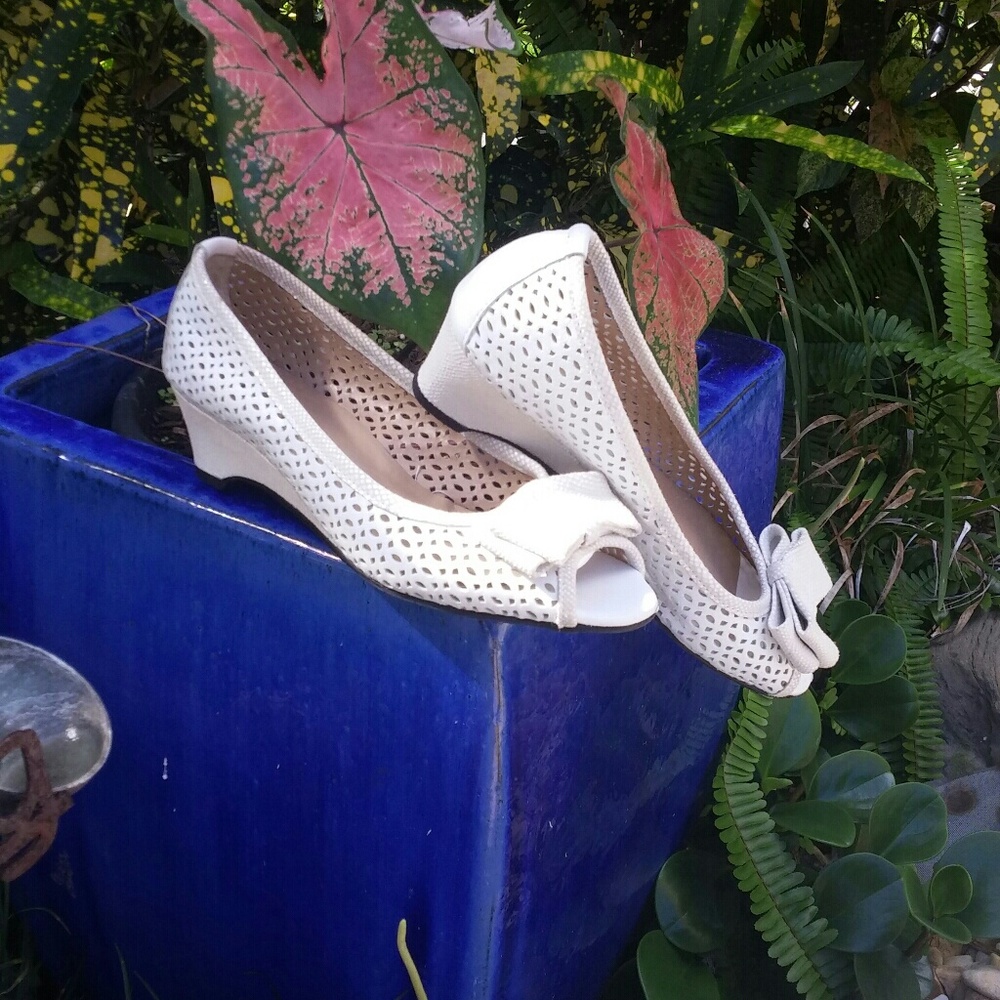 Vaneli shoes